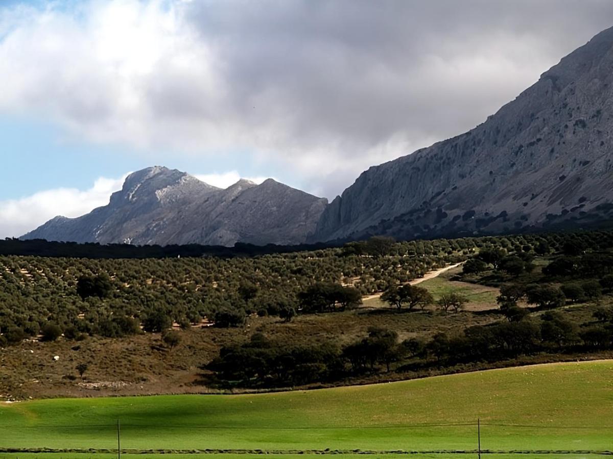 Hostal Colon Antequera Bagian luar foto